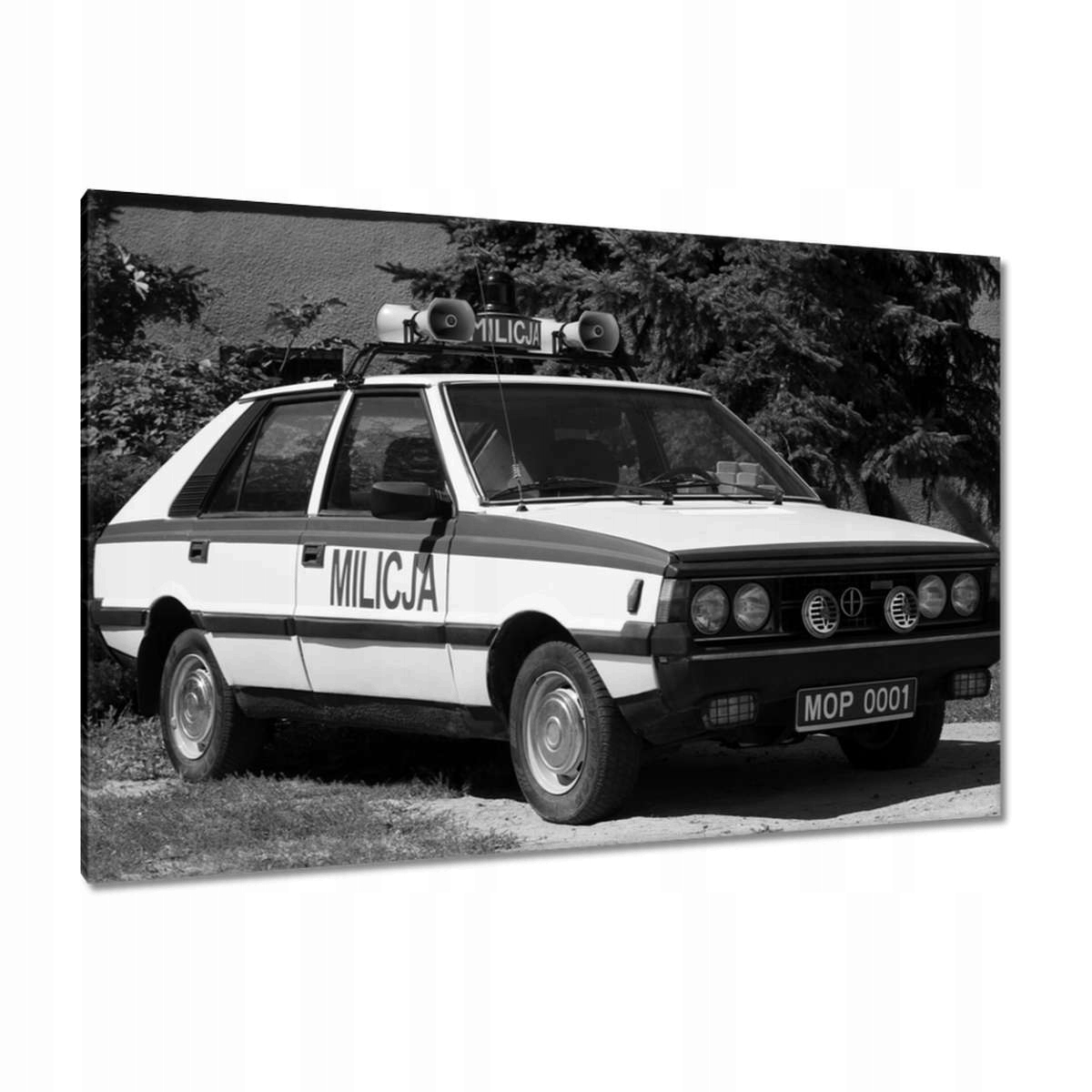 Obrazy 120x80 Miliční Polonez