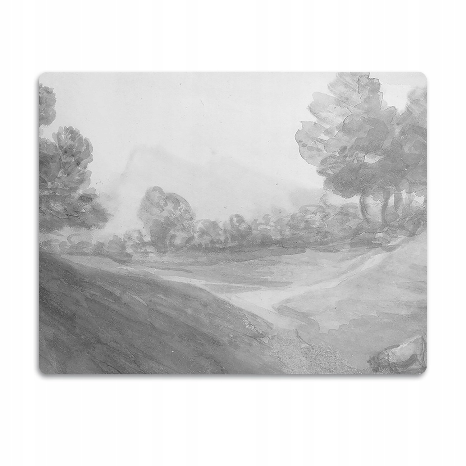 Levně Pro kočky psa podložka pod misky Krajina 90x60