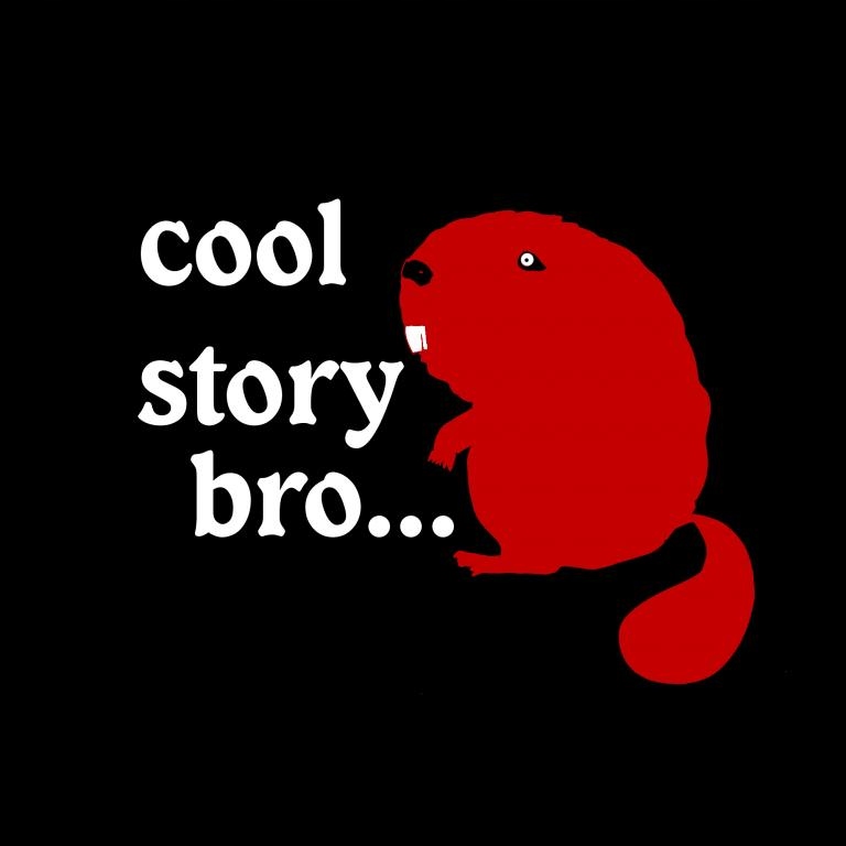 

Damska Koszulka Cool Story Bro Wzory Hit c3a