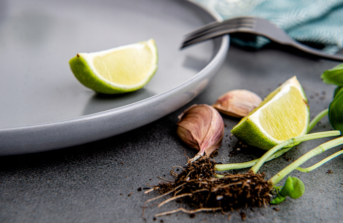 ZESTAW TALERZY DESEROWYCH 20 cm. SZARY MATOWY 6 szt. VICTO KONSIMO Marka Konsimo