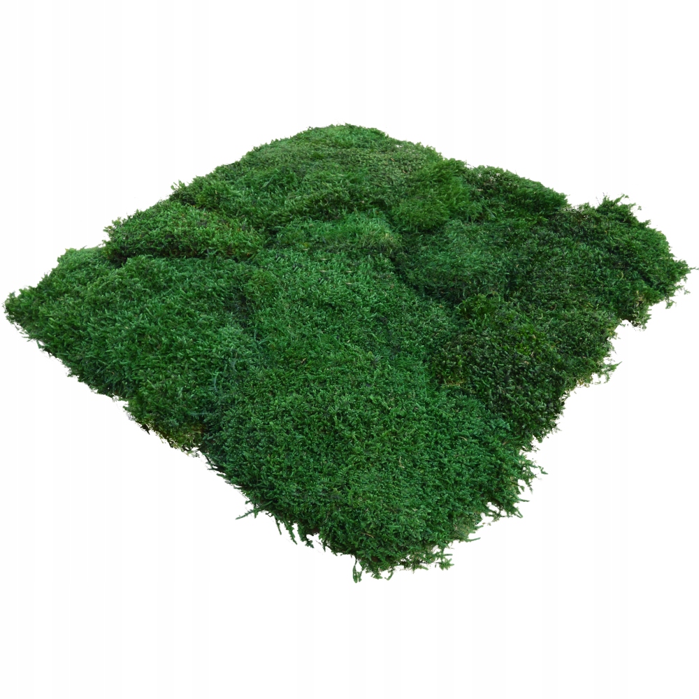 Mech Płaski PREMIUM Natural Green Karton 75g Marka inna