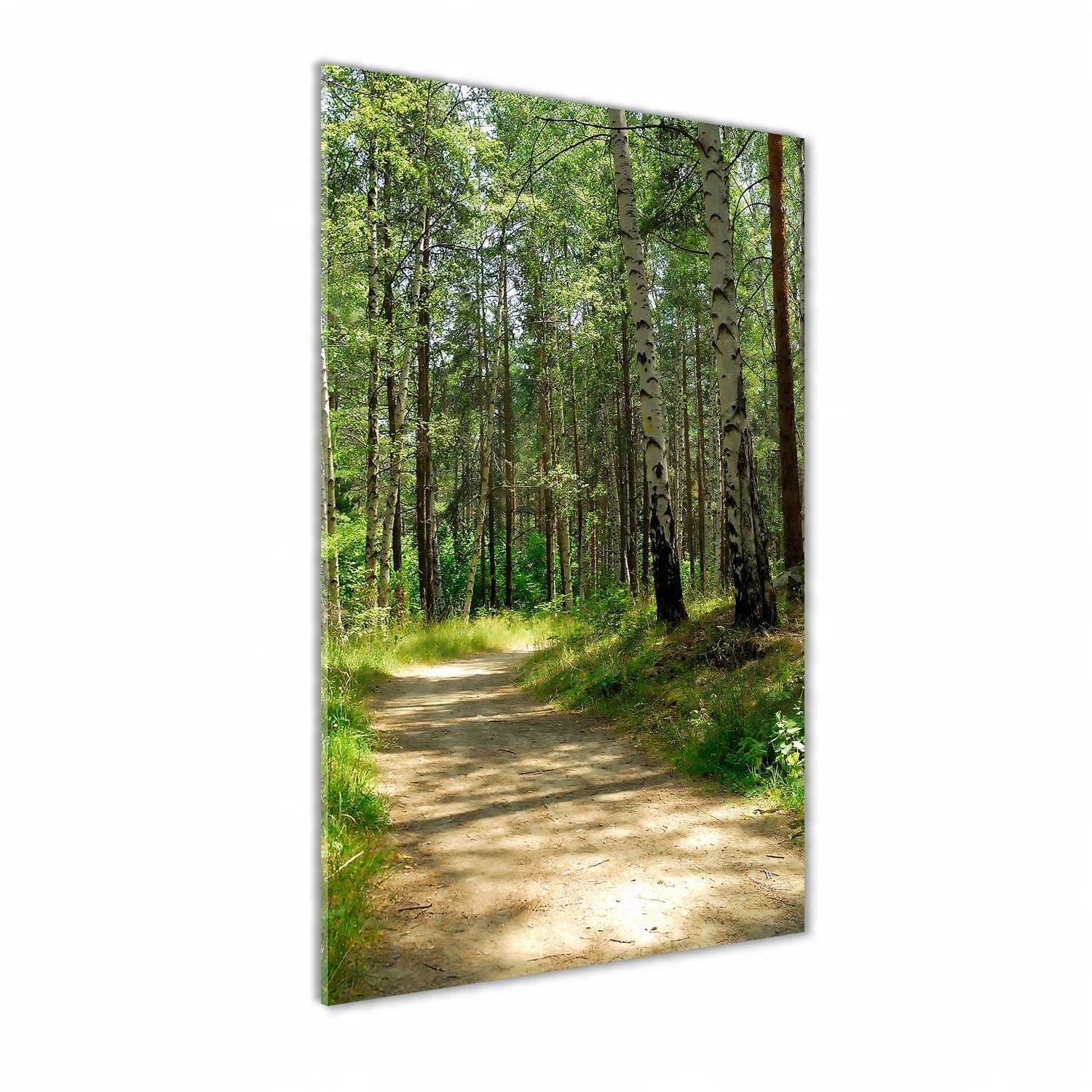 

Foto obraz szkło hartowane Las brzozowy 60x120 cm