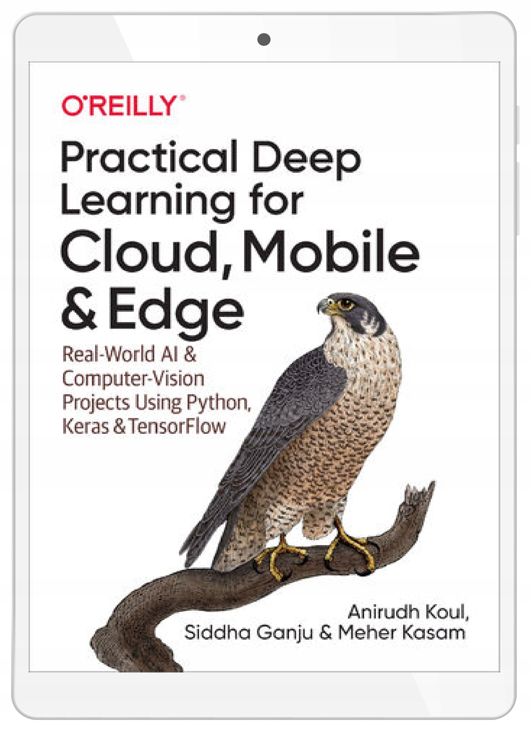 Practical Deep Learning for Cloud, Mobile, and
