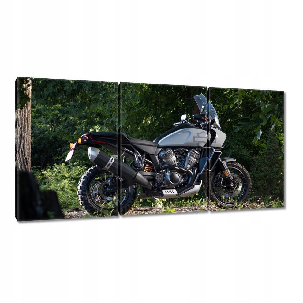 

Obrazy 120x60 Harley Davidson Motocykl