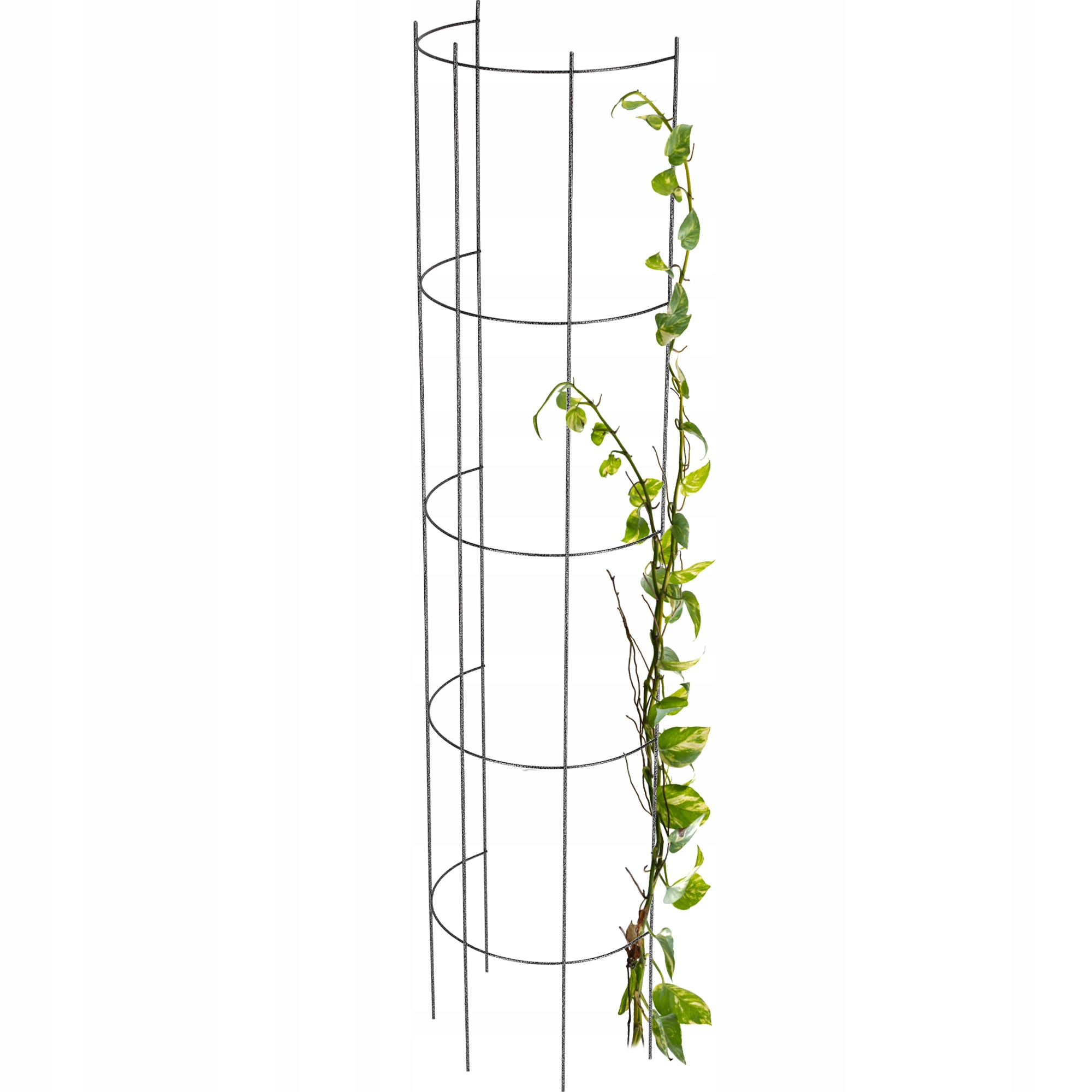 

Kolumna Pergola Ogrodowa Na Kwiaty Róże 120 cm