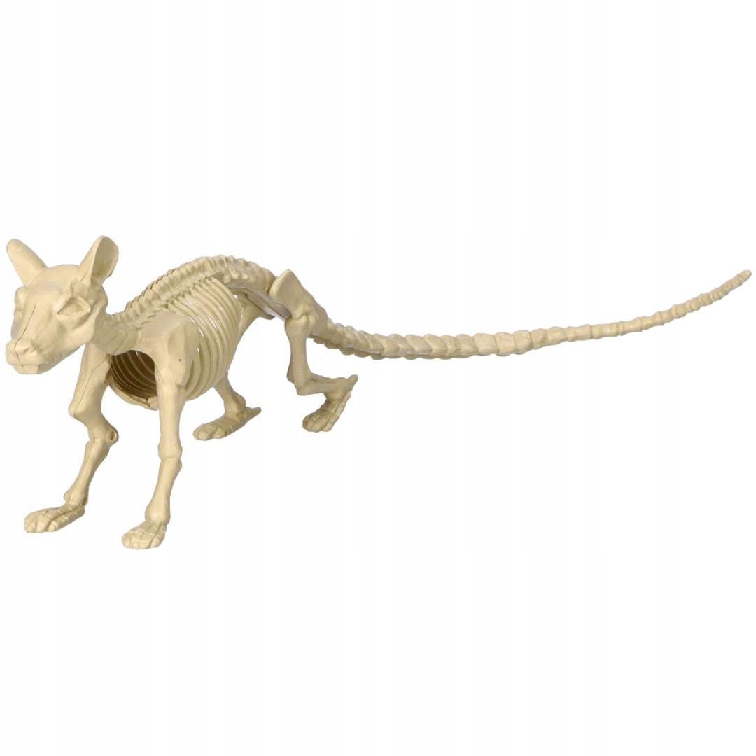 SZKIELET mysz ZWIERZĘTA dekoracja HALLOWEEN 20cm