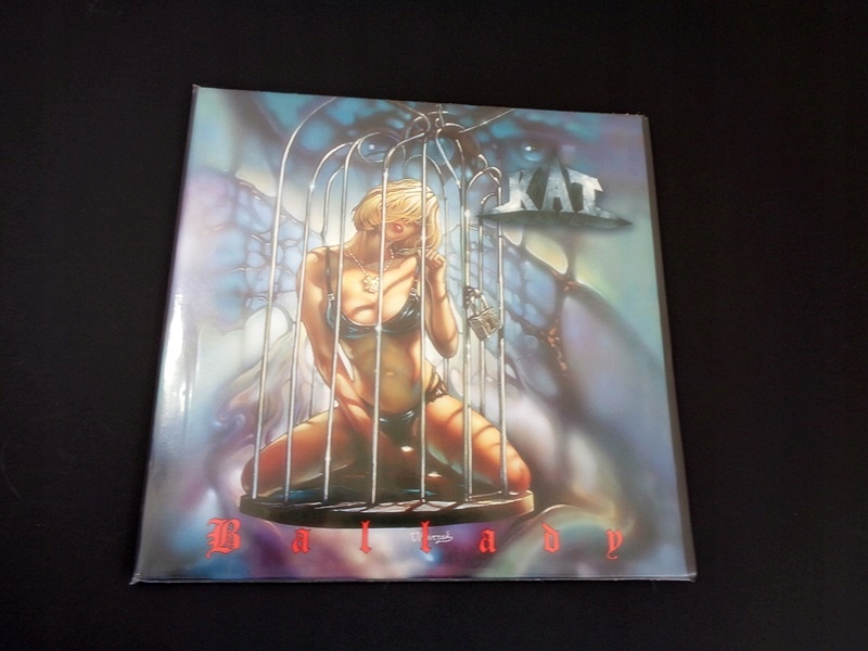 OKŁADKI NA LP WINYLE [12] Z GRUBEJ FOLII 10 sztuk Marka bez marki