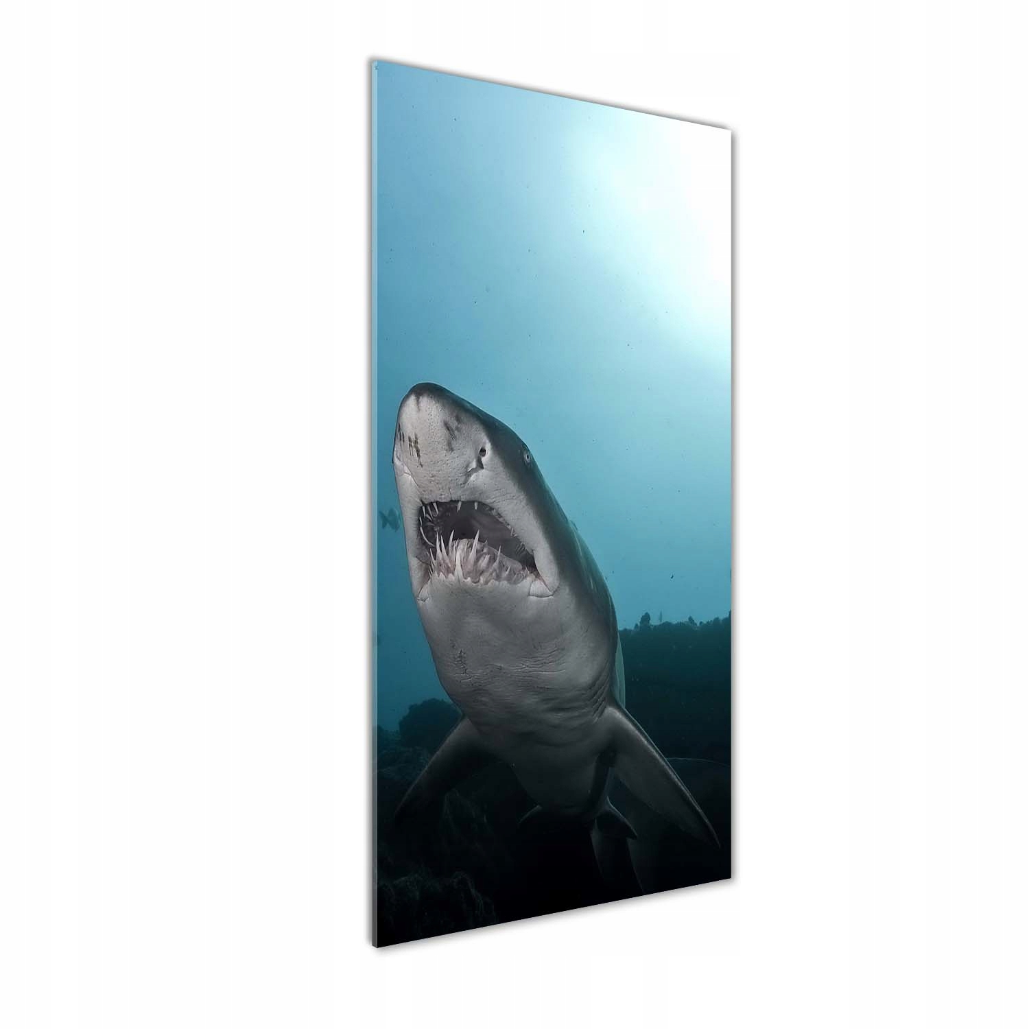 

Foto obraz szkło hartowane Duży rekin 50x125 cm