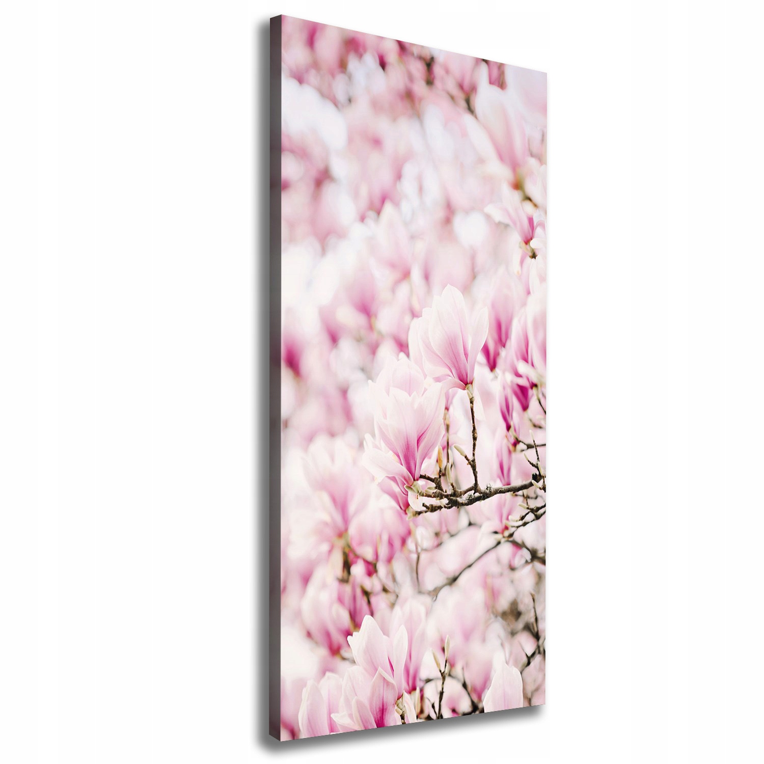 

Foto obraz na płótnie Kwiaty magnolii 50x125 cm