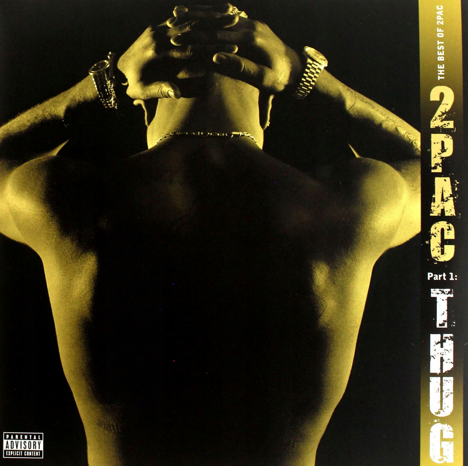 2PAC: The Best Of 2PAC Pat. 1:THUG [2XWINYL]