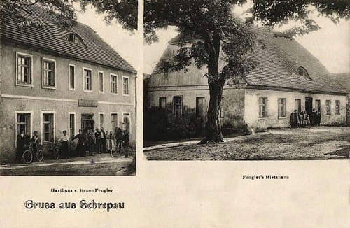 

Głogów Krzepów Reprodukcja 8578