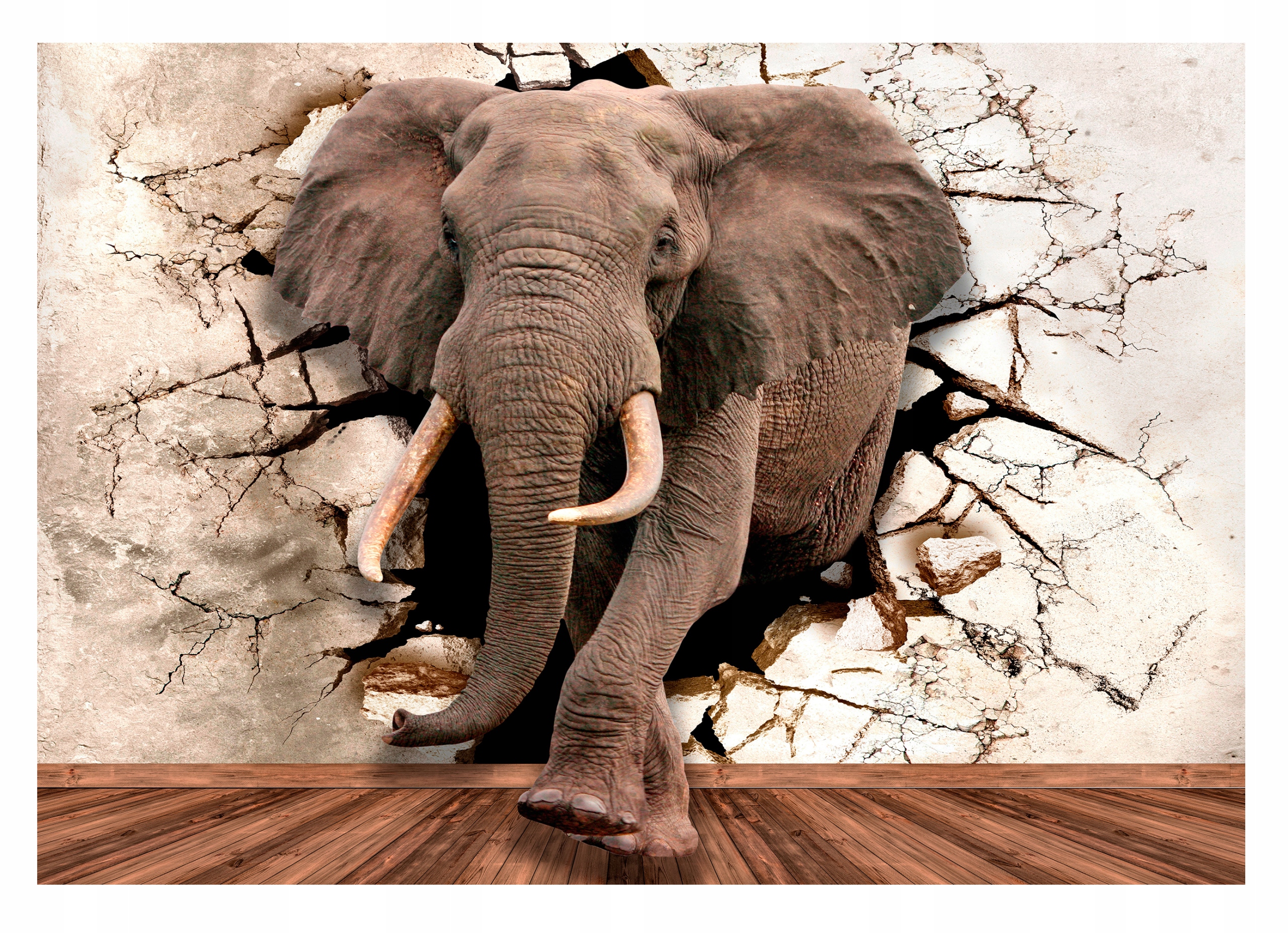 Fototapeta Slon Diera V Stene 3D Abstrakcia Tapeta Na Stenu 368x254