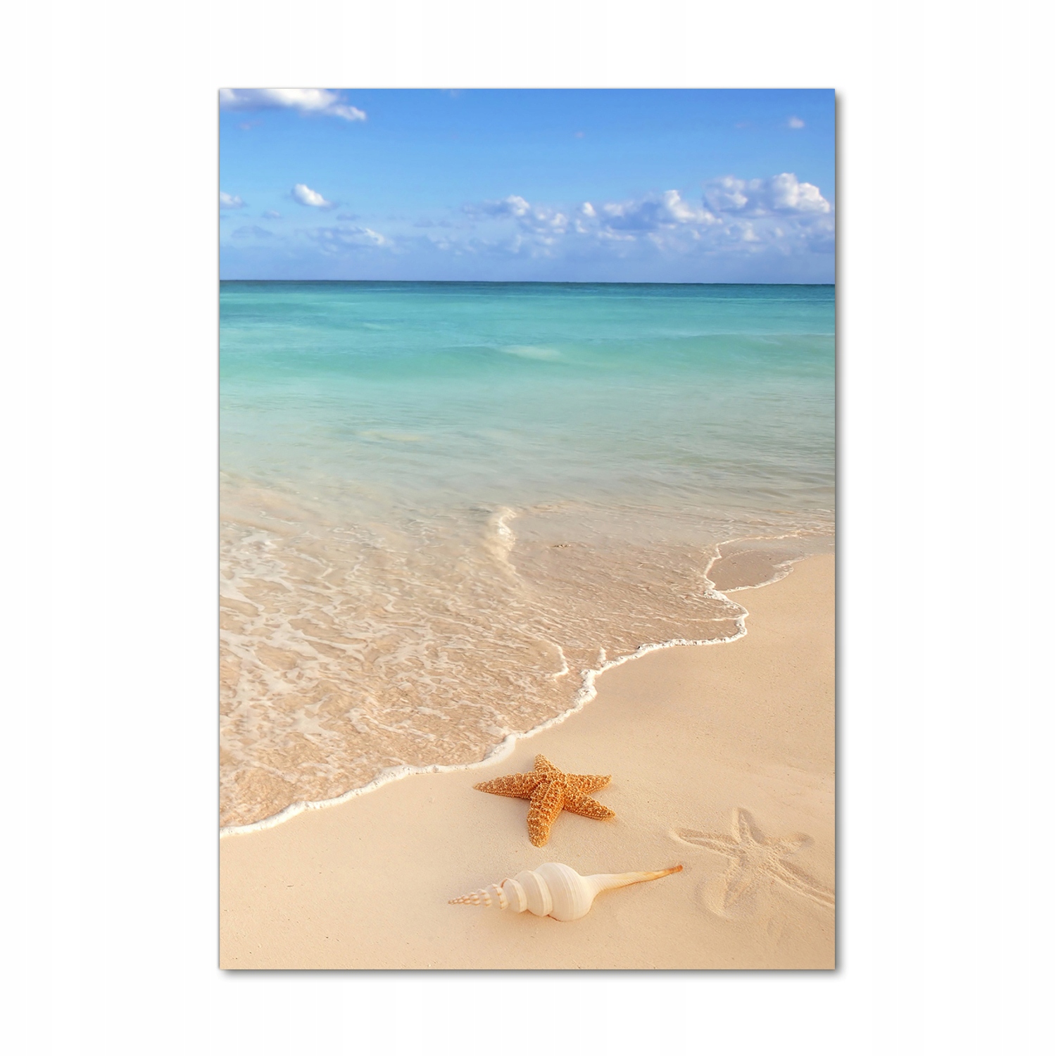 

Foto obraz akrylowy Rozgwiazda na plaży 70x100cm