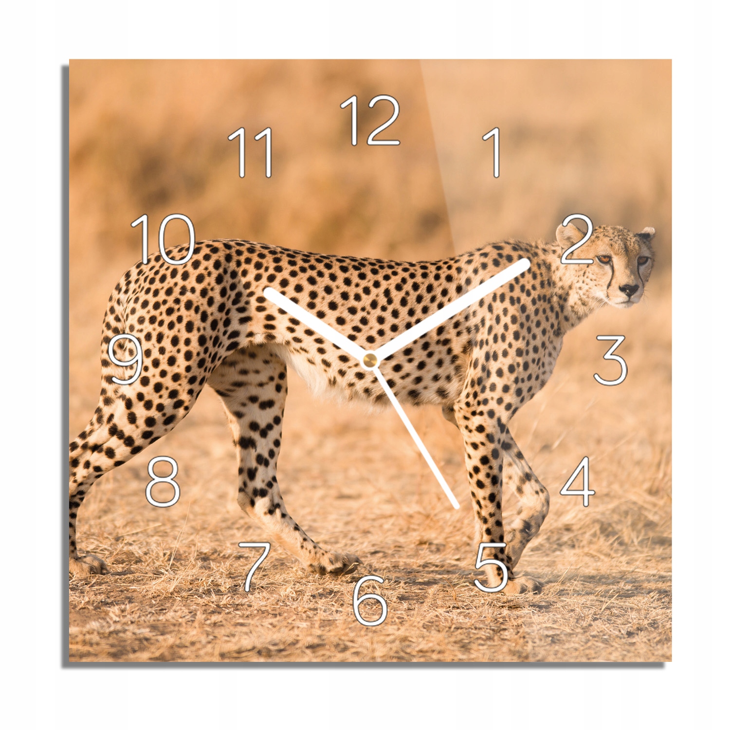 

Spacerujący gepard zegar na szkle z grafiką 30x30