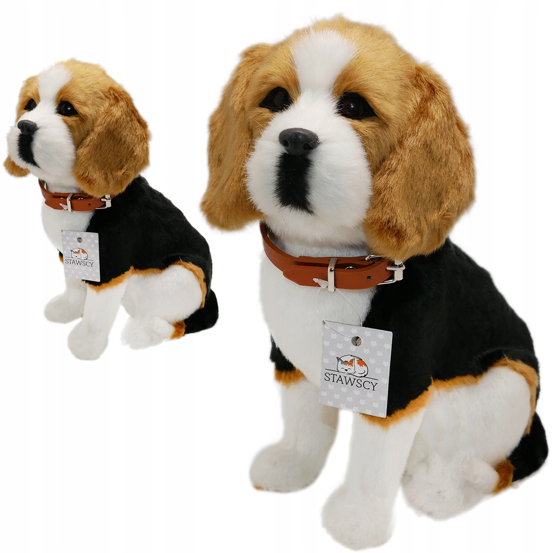

Duży Siedzący Pies figurka Beagle jak żywy Szczeka