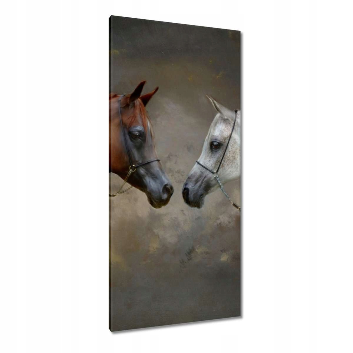Obrazy 55x115 Kůň Jezdectví
