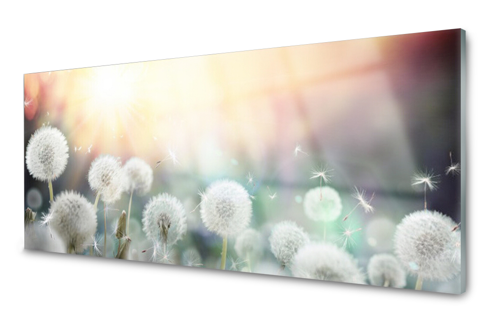 Sklenený panel do kuchyne Púpavy Kvety 125x50
