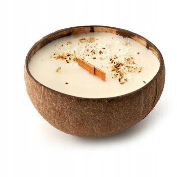 Tropikalia Candle in Coconut – coconut