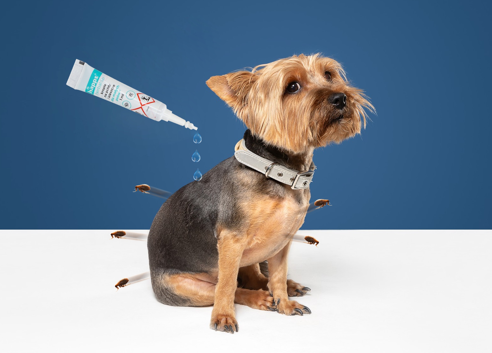 KROPLE NA PCHŁY I KLESZCZE DLA MAŁYCH PSÓW (5-10KG) HAPPS MOCNE DZIAŁANIE Marka Happs
