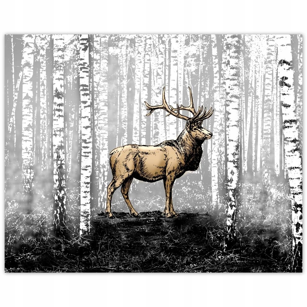 

Plakat 50x40 Jeleń Brzoza Brzozy Las