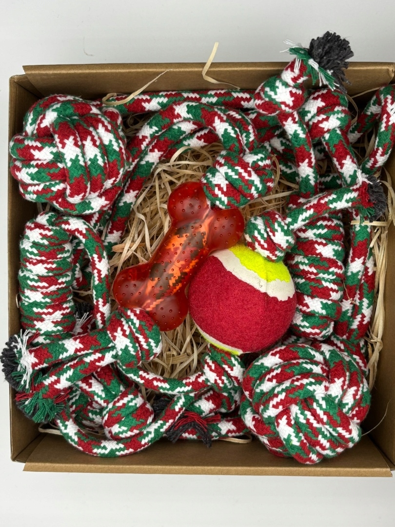 Dárková sada pro psa s míčem