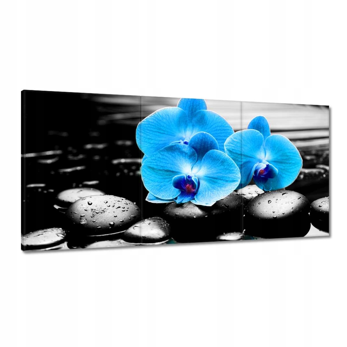 Obrazy 180x90 Tyrkysový orchidea Kvet