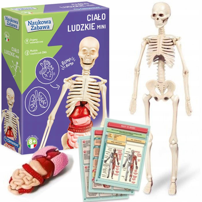 

Clementoni Ciało Ludzkie Naukowa Zabawa 50515 New