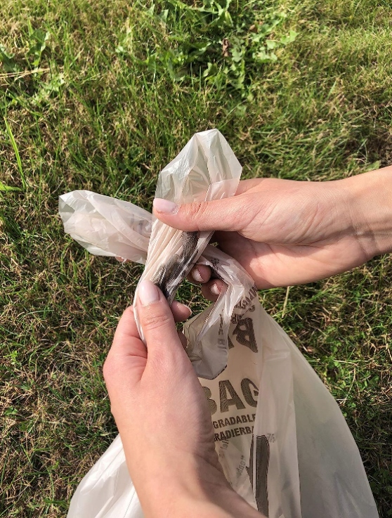 Worki Do Toalet Przenośnych Turystycznych BIO x20 SZTUK Model worki bio