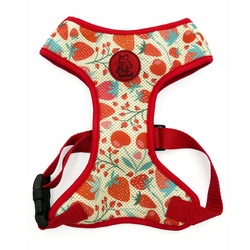 Levně Beztlakové postroje pro psa Fruit Jelly Psiakrew, XXL