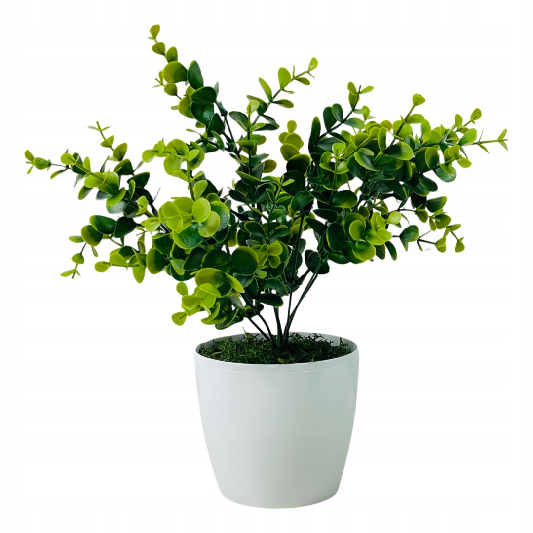 EUKALIPTUS W DONICZCE KWIATEK DONICZKOWY SZTUCZNE KWIATY DO BIURA LIŚCIE