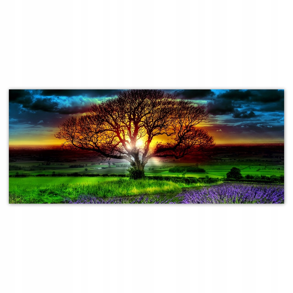 

Fototapety flizelina 250x104 Drzewo życia