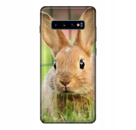 

Etui do Samsung Galaxy S10 Plus Case 180 Wzorów