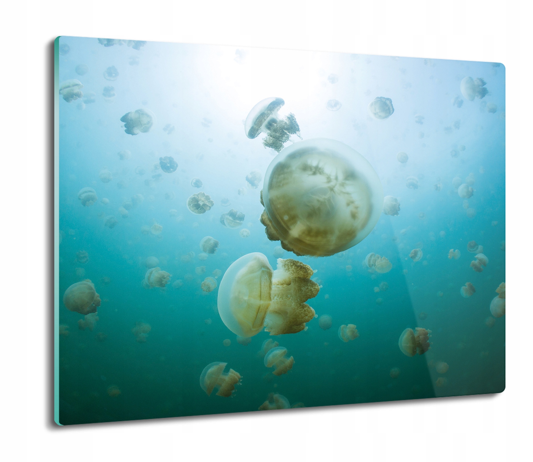 

Meduzy ocean morze 60x52 deska kuchenna szklana