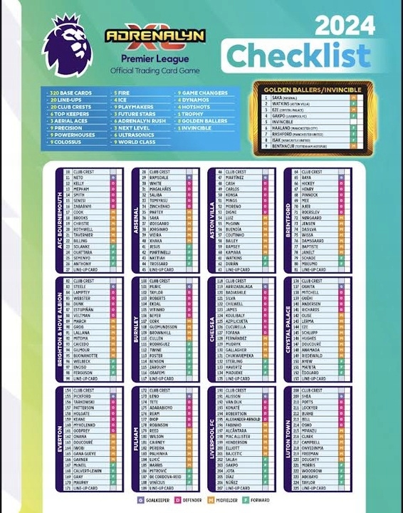 Panini Premier League 2024 Pudełko z 216 Kartami 36 Saszetki Długość (cm) 15 cm