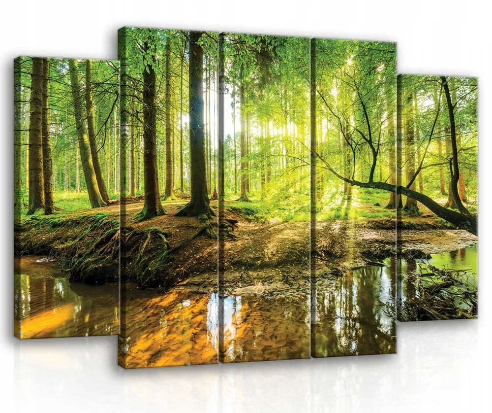 Obraz Na Plátne Canvas 150x100 Les Stromy Slnko