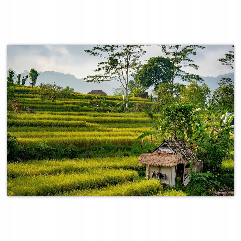 

Plakaty 60x40 Pejzaż Krajobraz Widoczek
