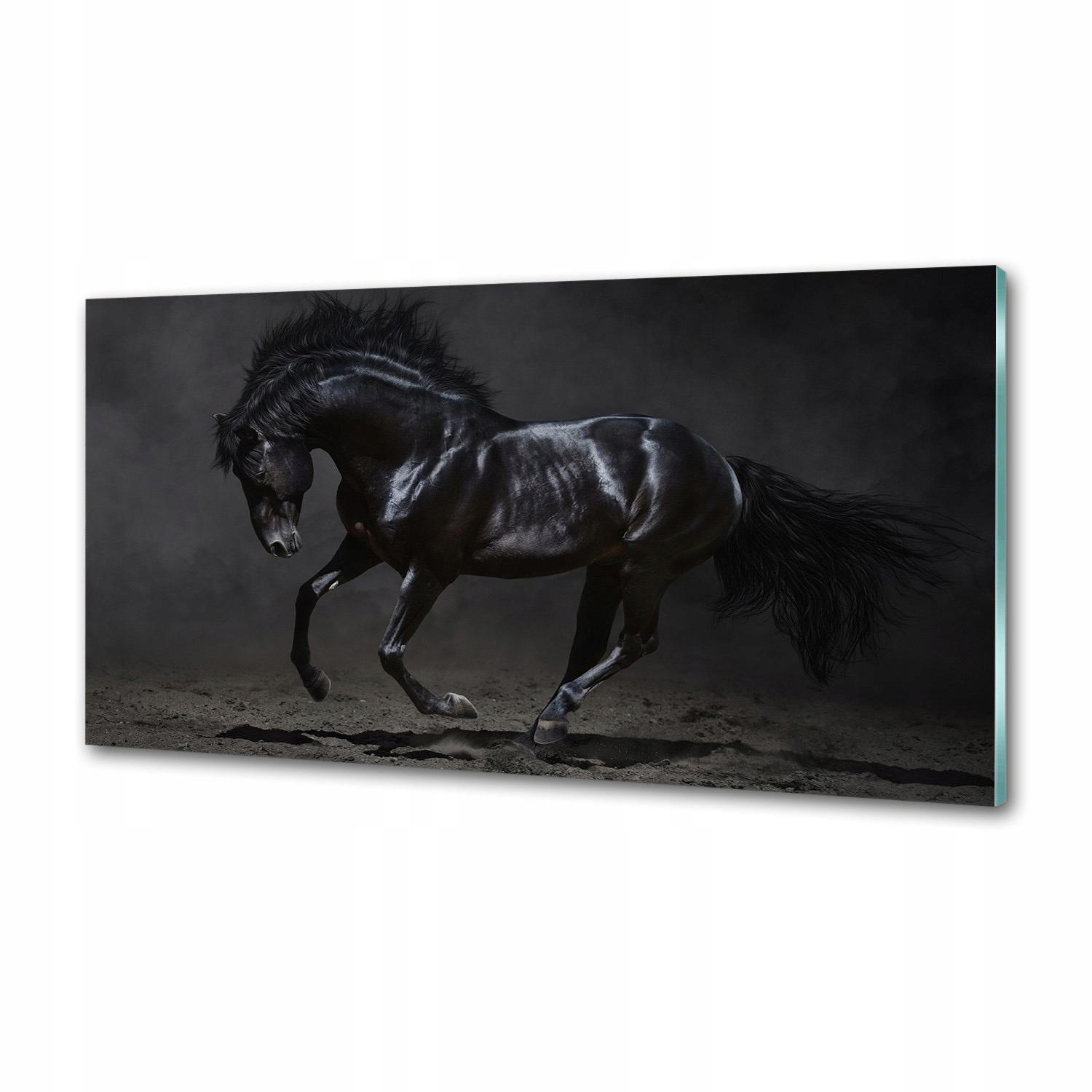 Dekoračný panel zo skla Čierny kôň 120 x 60 cm Lepidlo