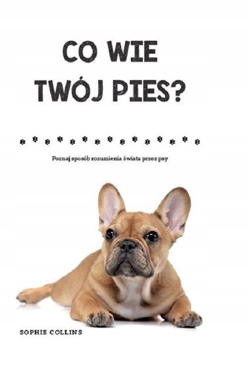 

Co Wie Twój Pies Sophie Collins
