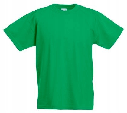 

Dziecięca Koszulka T-shirt Fruit Wf zielony 128