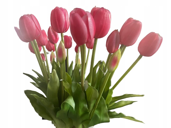 

Tulipan Tulipany Silikonowe Bukiet gumowe