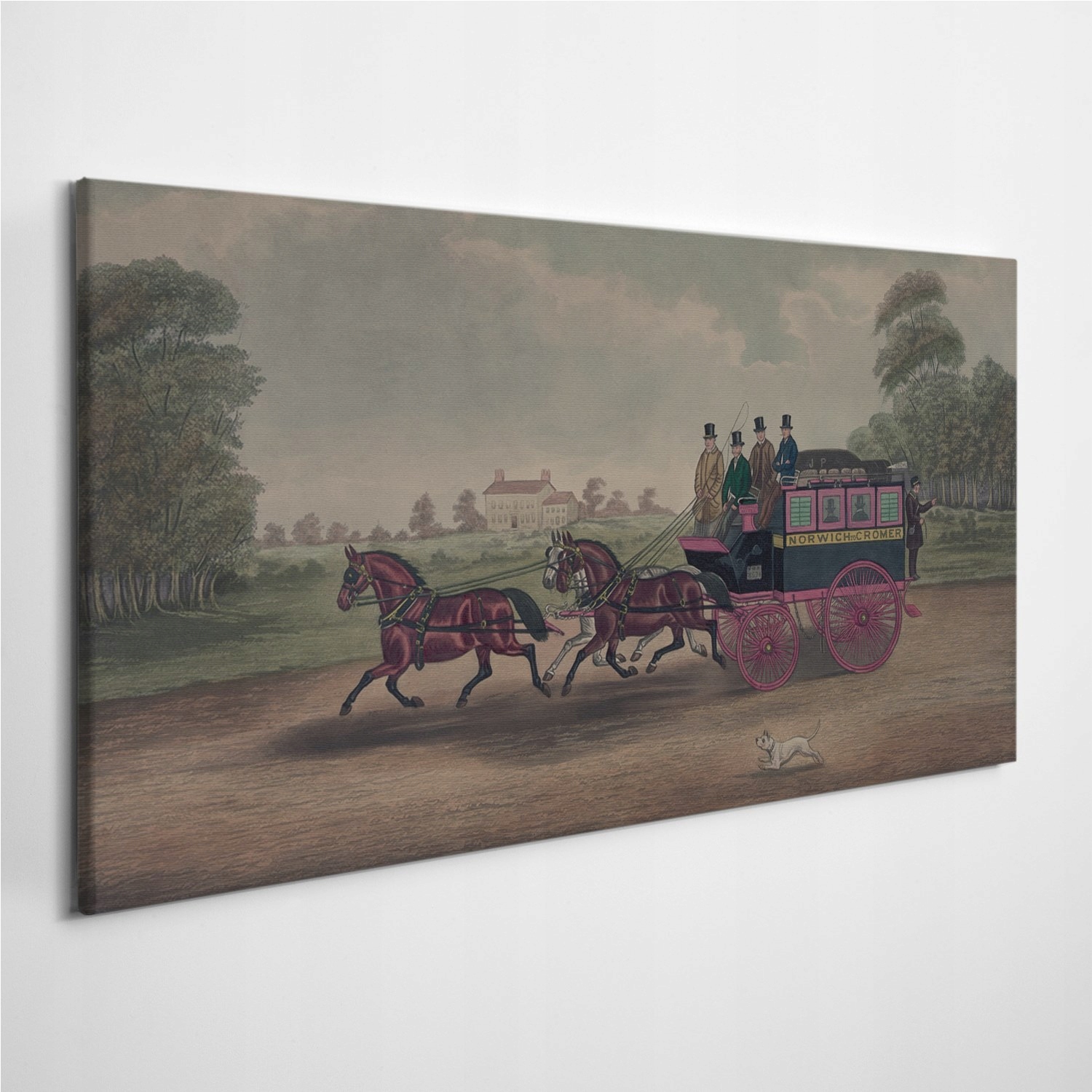 

Fotoobraz na płótnie Konie Anglia Zwierzęta 120x60