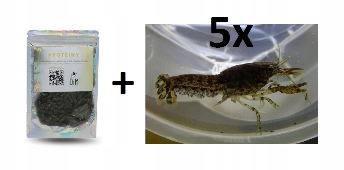 PAKIET Rak Diminutus 5 szt(PŁEĆ LOSOWA)+POKARM Proteiny DIM 30g