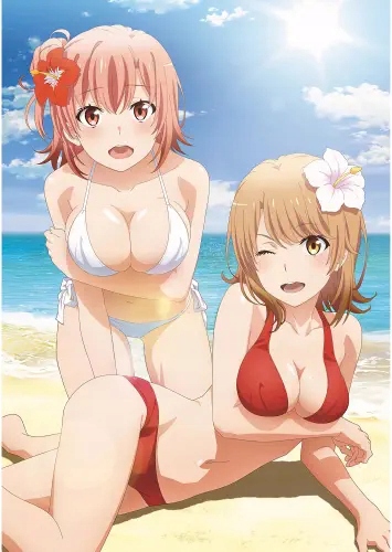

My Teen Romantic Comedy: Snafu A3 (custom)