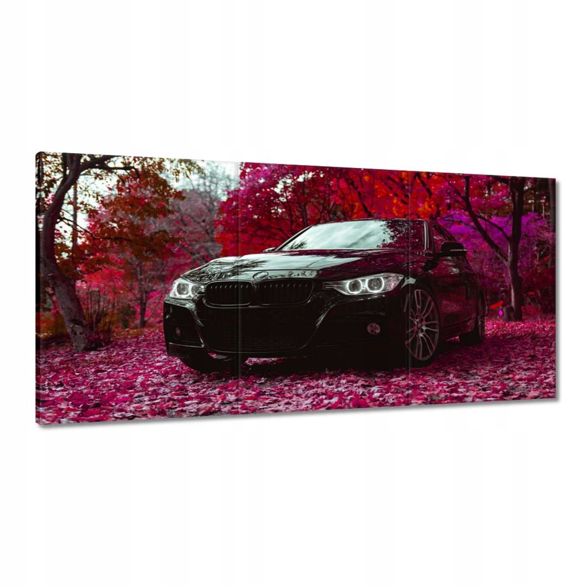 Obrazy 180x90 Čierne Bmw Jeseň