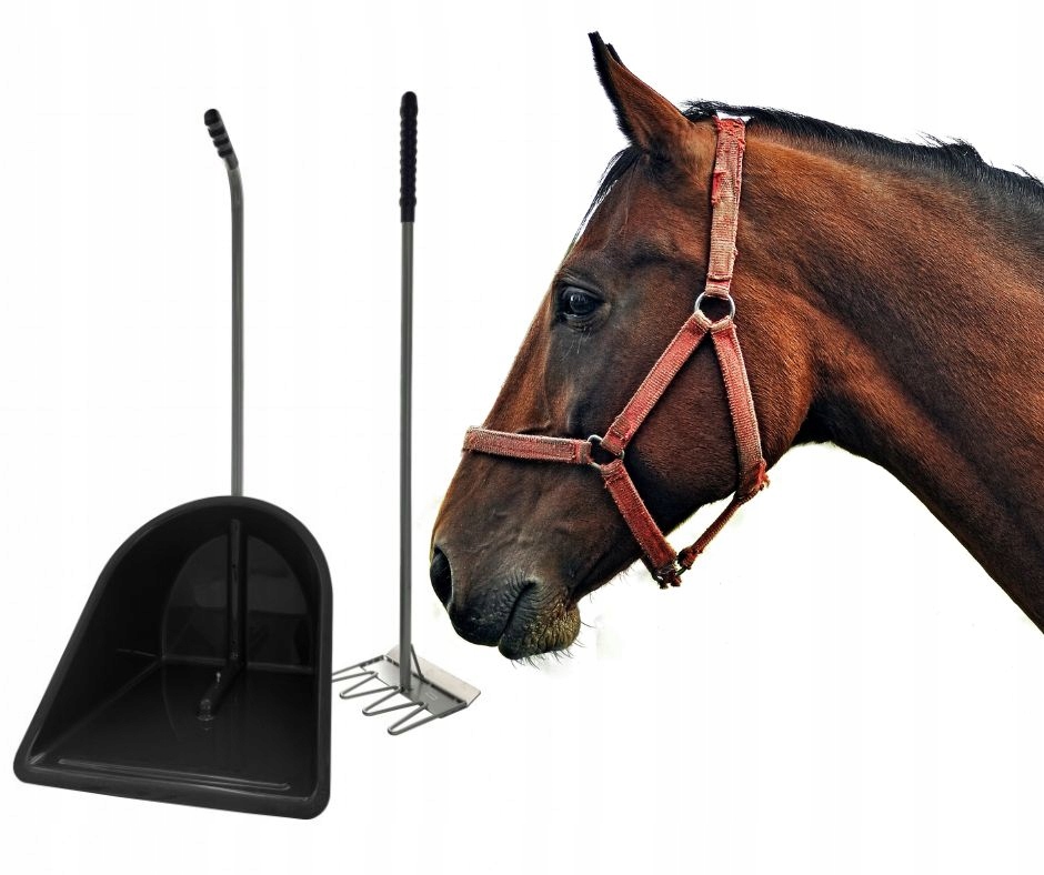 Zestaw do sprzątania stajni, obory (skrobaczka i szufla) czarny