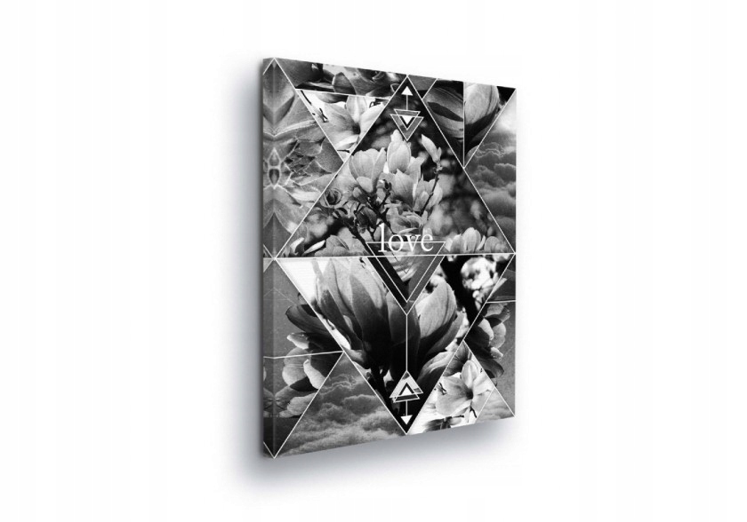 Obraz 60x80 Květiny geometrie minimalismus příroda abstrakce koláž magnolie