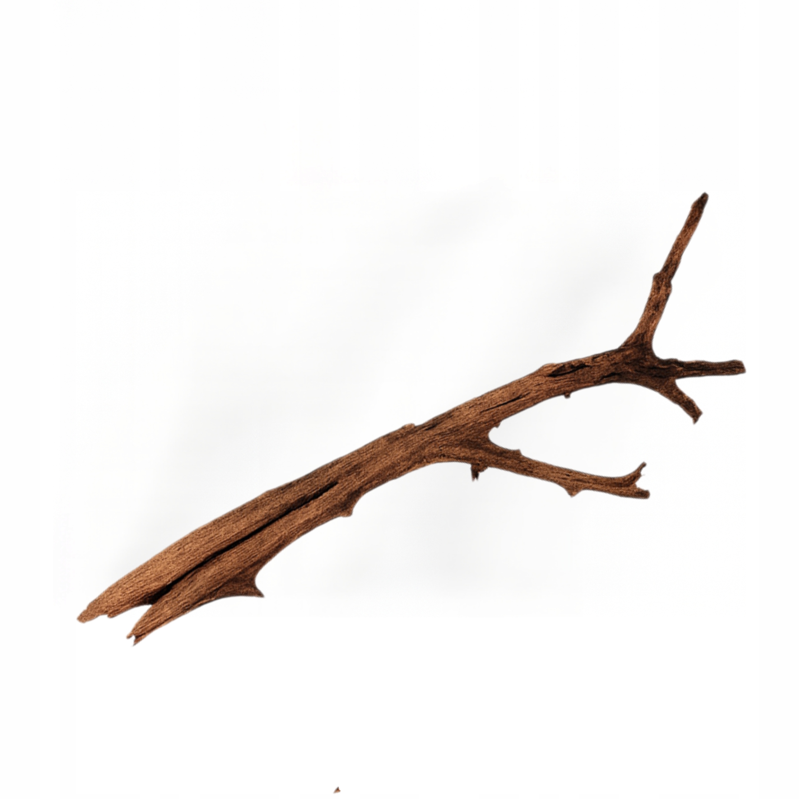 Levně Kořen Do Akvária Terárium Mangrovník Větev 1 Ks 70-90cm XL Dlouhý!