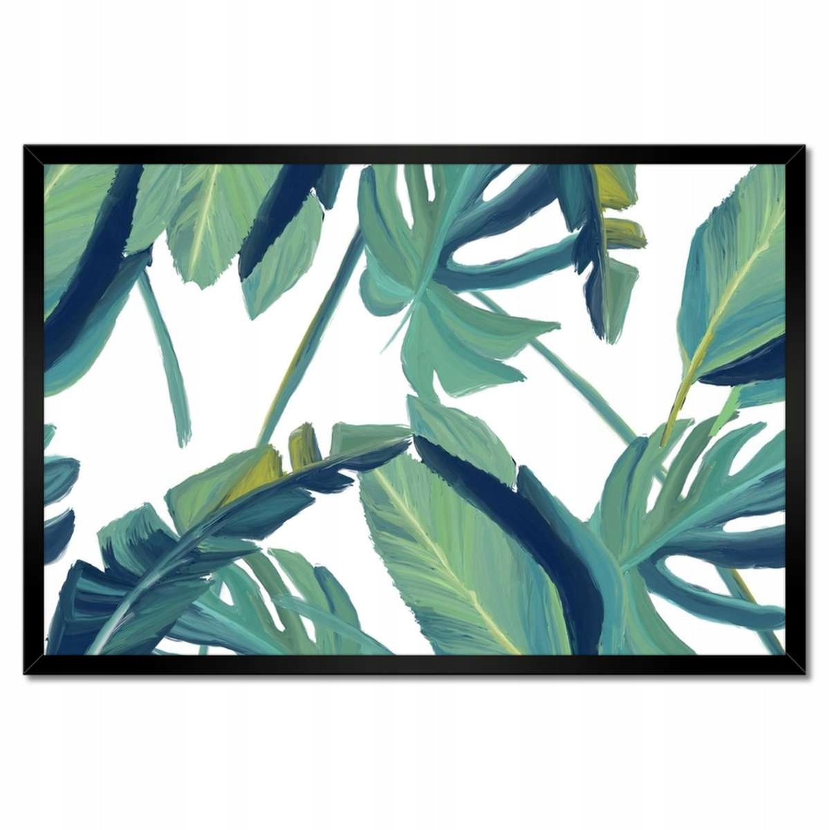 Plakáty v rámu 60x40 Monstera Listy listy