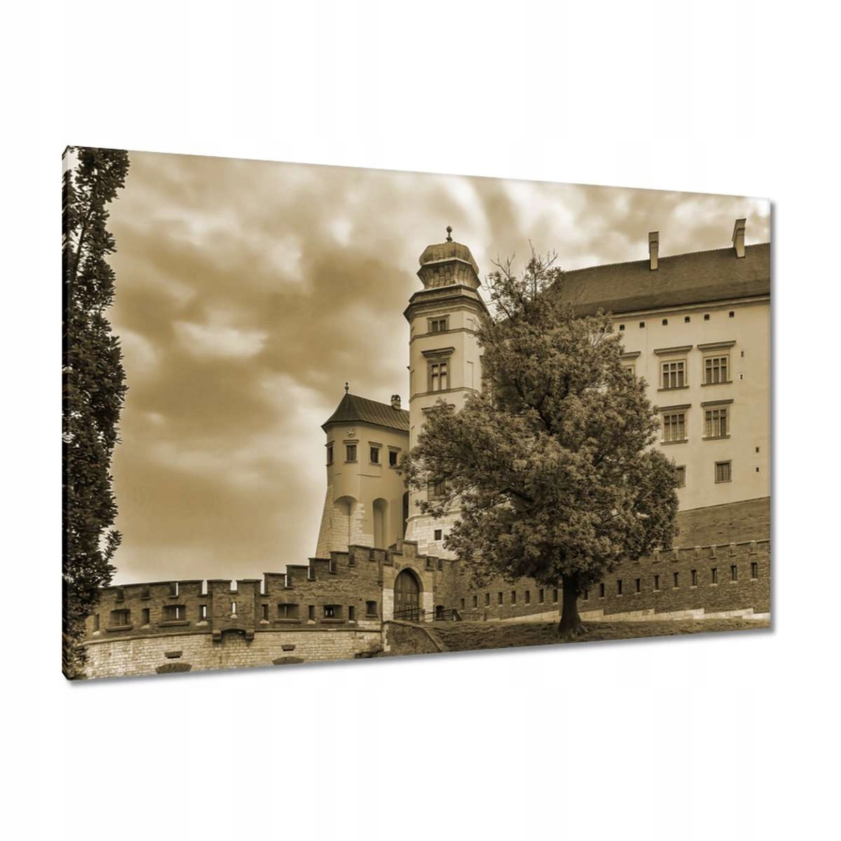 Obrazy 120x80 Krakov Wawel Památky