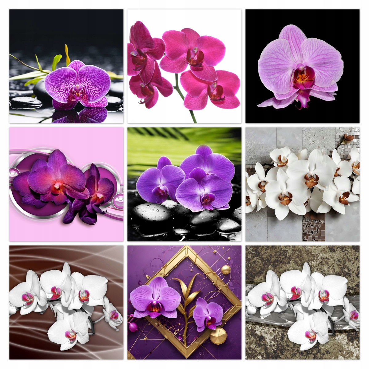 Sada plagátov 9x 40x40 Mix Orchidey
